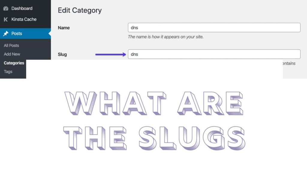 WordPress Slugs